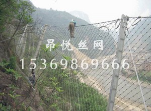 邊坡防護網22.jpg